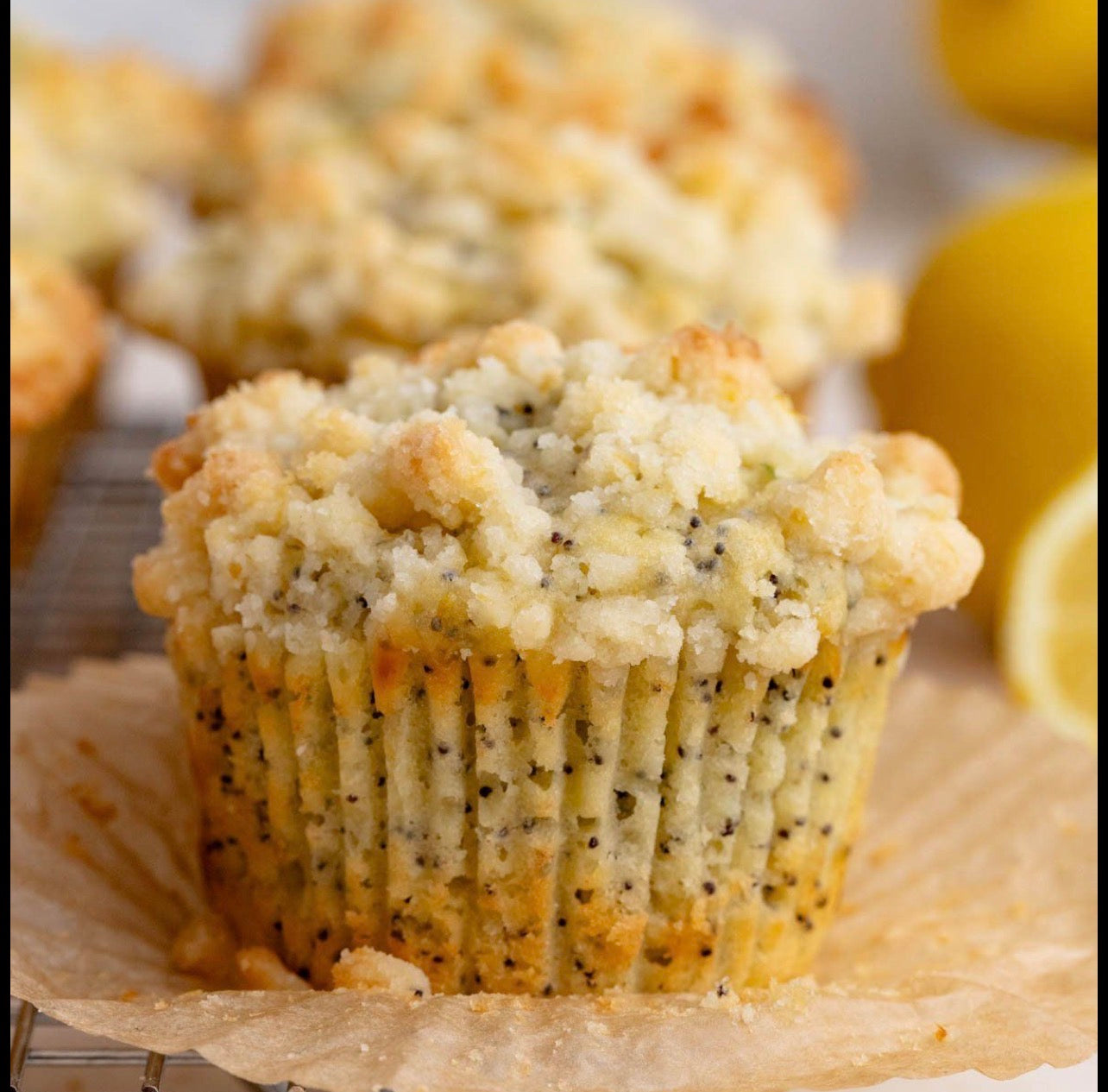 Jumbo Muffins - Moonlit Pantry Catering & Events