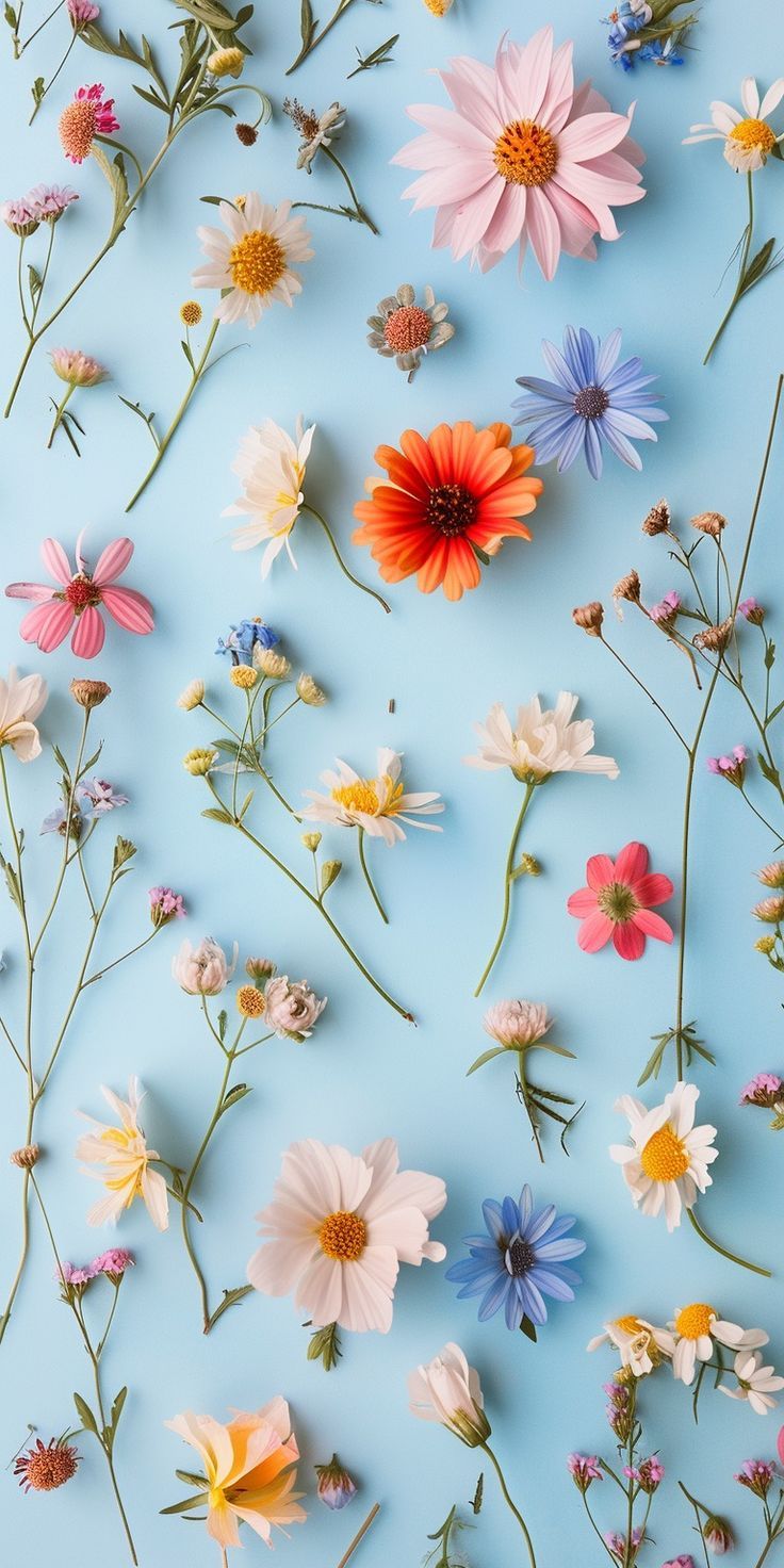 Spring Blogs '25